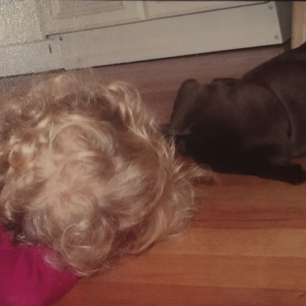 Meet your Posher, Sophia